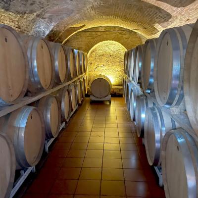 Piemont Wein Spezialitaeten Weinschulung Viptrip