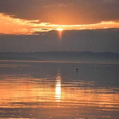 Gardasee Sonnenuntergang mit Vögel